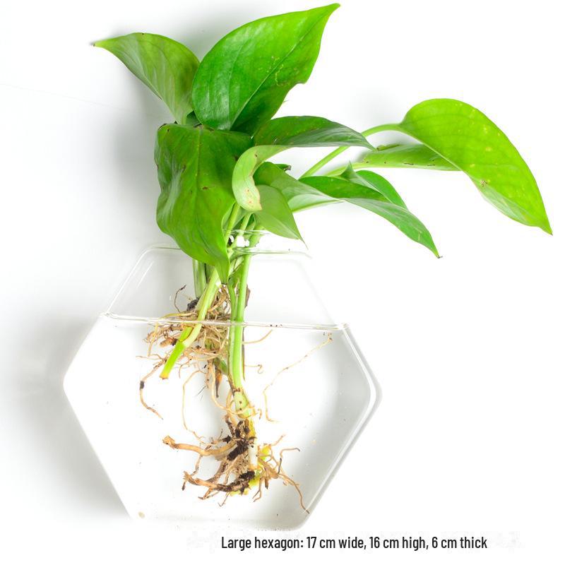 Ваза из выдувного стекла ручной работы для украшения стен и цветочных композиций