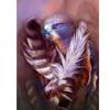 Full 5D DIY Diamond Painting Bird Feather Diamond Embroidery Mosaic Kits Cross Stitch Home Decor Handmade Gifts