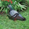 Double-Sided Printing Pigeon Sculpture Acrylic Pigeon Statues Wild Pigeon Decorations Realistic