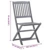 VidaXL Lot de 2 Chaises Pliables d'Extérieur avec Coussins, Sièges de Terrasse, Chaises de Salle à Manger, Meubles de Patio 3064536