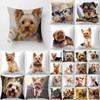 Cushion Cover Cute Yorkshire Pillowcase Dog Yorkshire Terrier Decorative Decorative Pillows Bedroom Sofa Bed Waist Cushion Cover