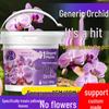 Orchid & Clivia Slow-Release Fertilizer Granules for Household Potted Plants