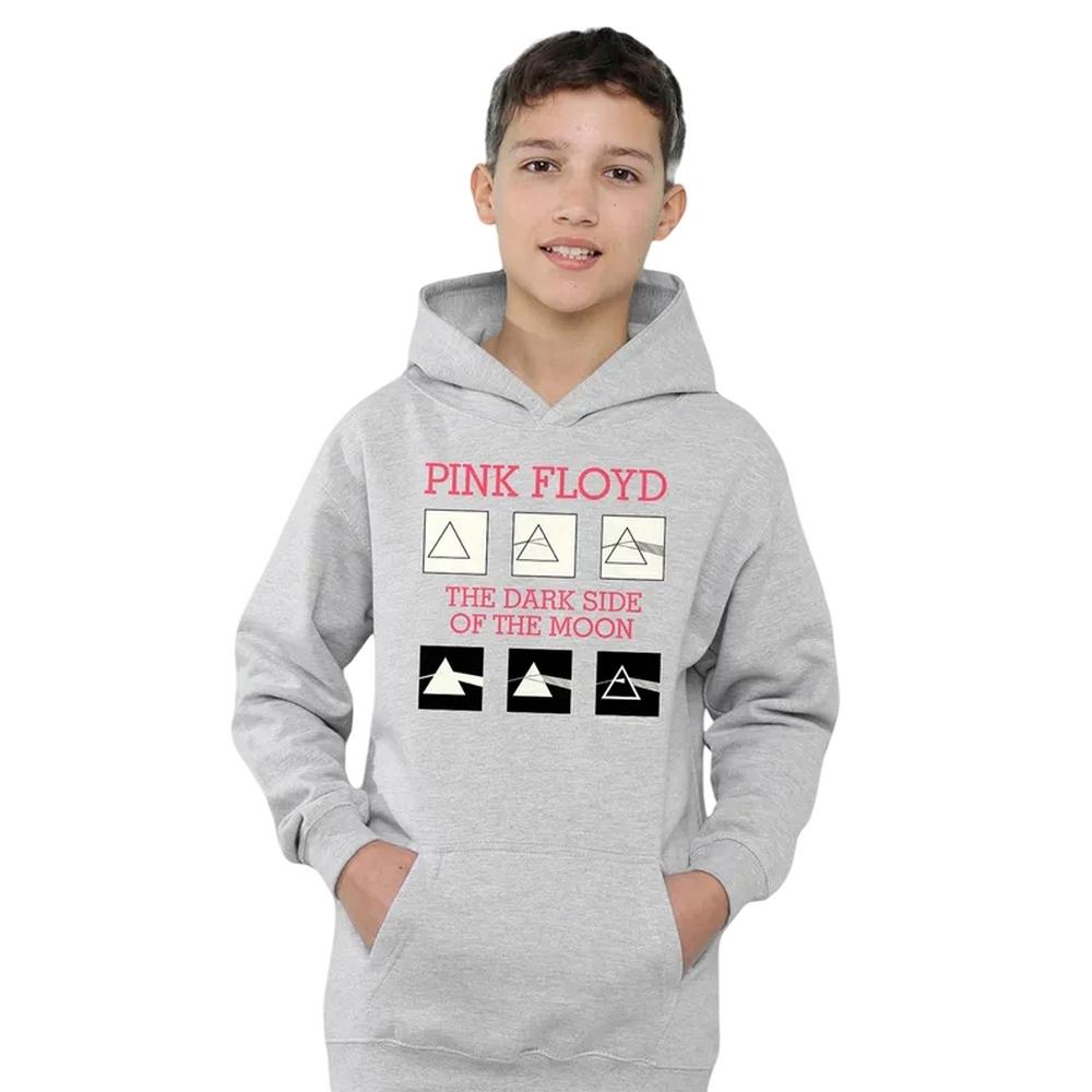 Pink Floyd Childrens/Kids The Dark Side Of The Moon Album Heather Hoodie