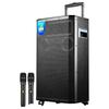 Philips SD170PLUS 15-дюймовая портативная KTV Bluetooth колонка на колесиках (Китайская версия)