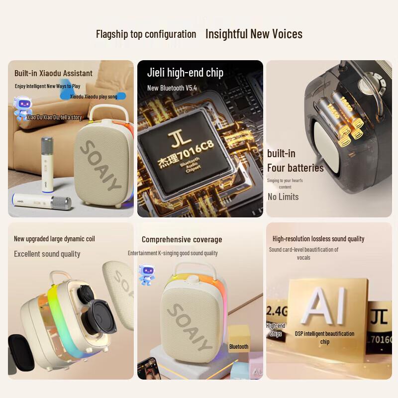 Soai SSK02 All-in-One Bluetooth KTV Speaker