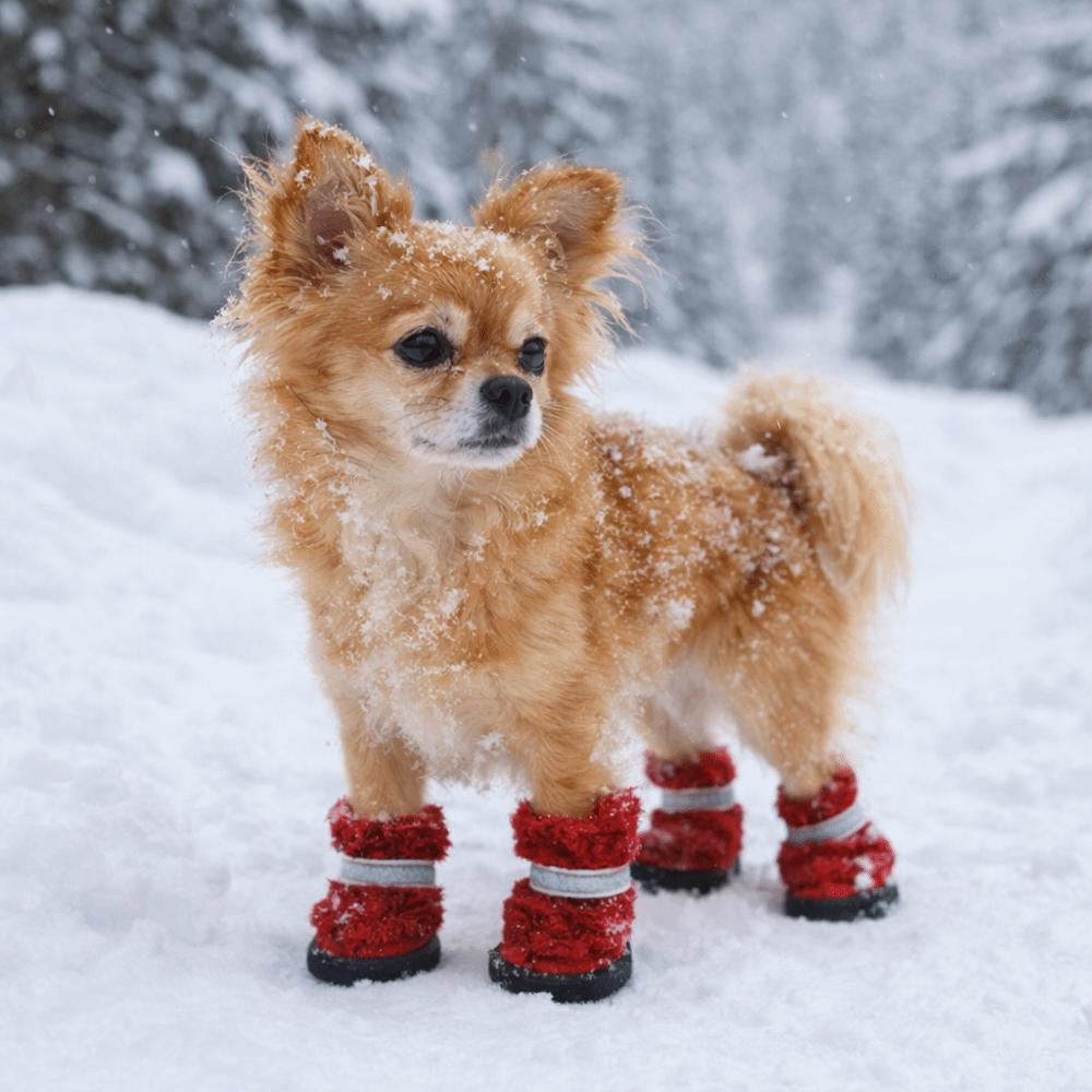 4 шт./комплект Теплые хлопковые ботинки для собак Противоцарапающиеся Зимние ботинки для собак Утепленные снежные ботинки для собак Для улицы