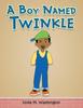 Книга A Boy Named Twinkle