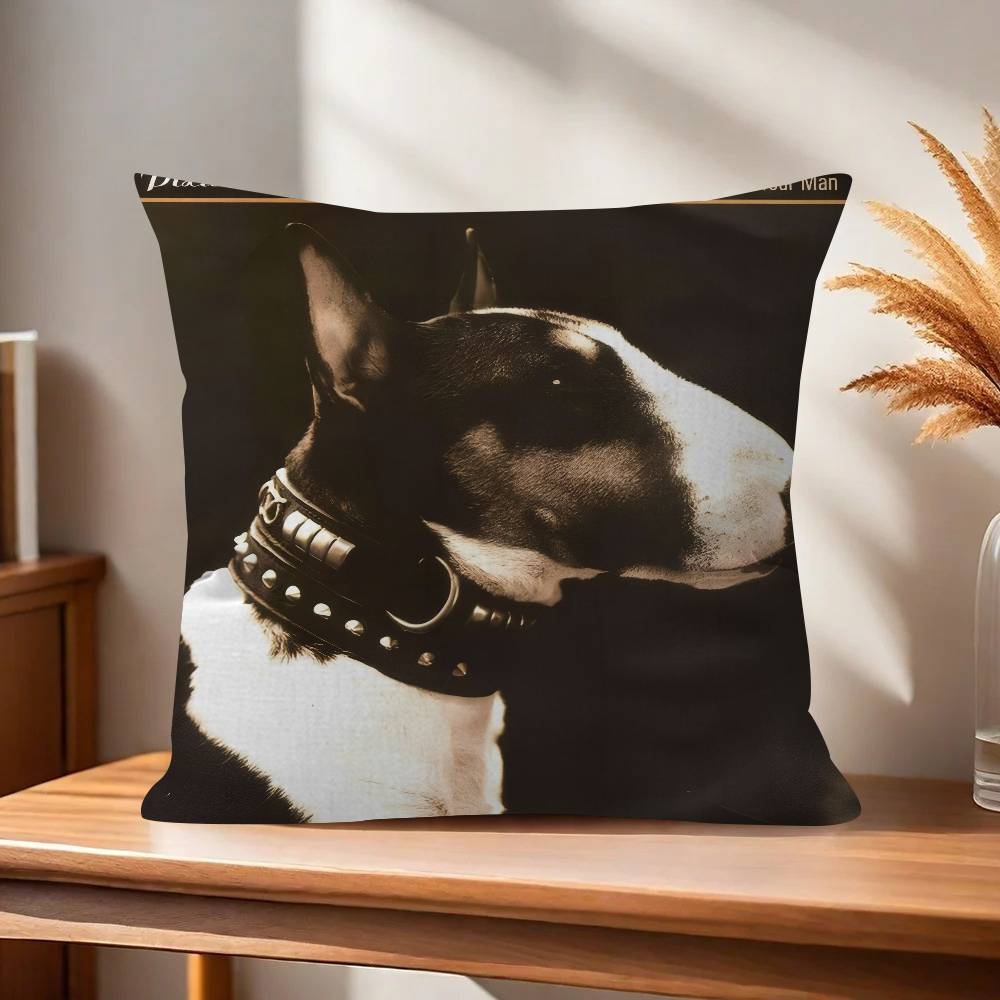 Rock Band PPixies Doolittle Personalized picture text home decorative pillows Household Gifts xcm