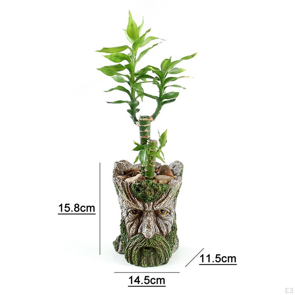 Горшки для комнатных растений, полимерный цветочный горшок для старика, держатель для ручки с большим дренажным отверстием