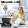 Кормушка для кошек и диспенсер для воды, комплект без электричества, автоматическая кормушка большой емкости для маленьких и средних собак, домашних животных, щенков и котят