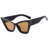 Oversized Cat Eye Vintage Sunglasses Women Brand Designer Fashion Gradient Glasses Female Retro Outdoors Shades