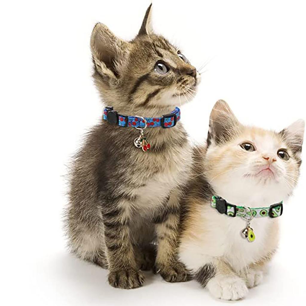 Pet Ribbon Fruit Cat Collar With Fruit Accessories Bell Pet Collar