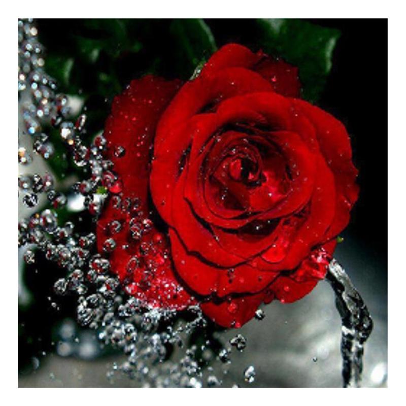 5D Diy алмазная живопись цветок роза вышивка крестиком полная круглая дрель вышивка Алмазная мозаика картина из страз Декор подарок