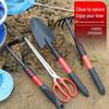 Tide-Chasing Beach Tool Set: Shovel, Rake & Hoe for Clam Collection and Seashell Gardening