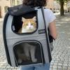Складной расширяемый рюкзак-переноска для животных с регулируемой высотой и настраиваемым логотипом – Дышащая конструкция с двумя лямками для использования на открытом воздухе