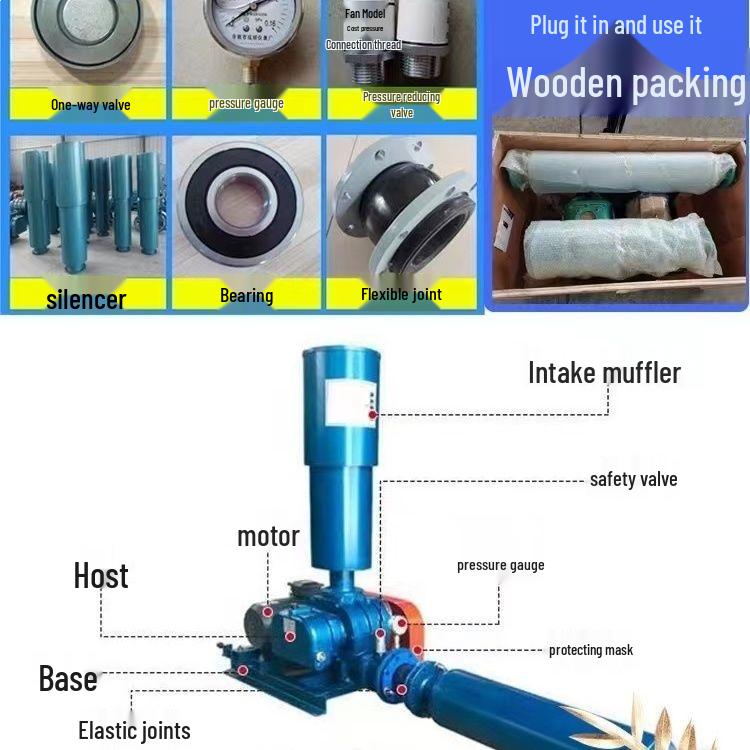 Low-Noise Energy-Saving Double-Tank Roots Blower for Fish Pond Aeration and Sewage Treatment