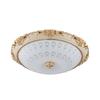 Dream Bubble LED Ceiling Light