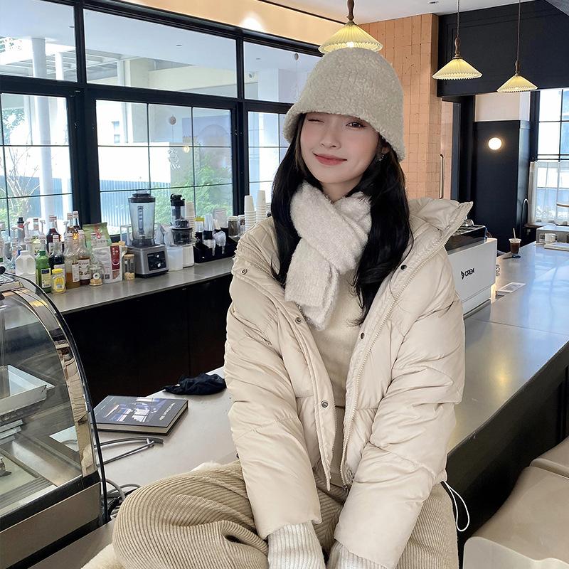 Short Collar Down Coat Jacket Coat Women 2023 Thick Warm Autumn and Winter