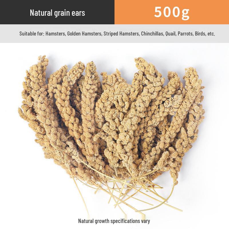 Parrot and Cockatiel Treats: Tiger Skin Grain Ears, Bird and Hamster Snacks, Training Rewards