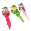 Decorative Birds - Multicolored - 3 Pieces - 9.3 X 3 X 2.7 Cm - Interior Decoration