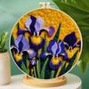 Набор для валяния из шерсти DIY Art Kit 20см Пяльцы Цветочный пейзаж Ремесло Набор для начинающих