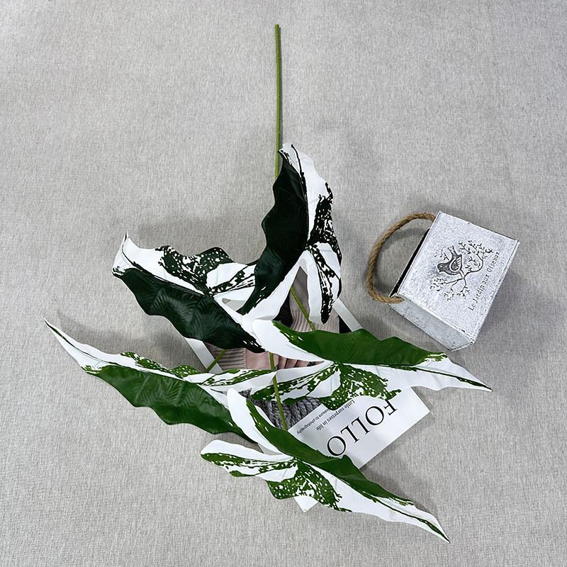 Искусственное растение Алоказия Одора Торговый центр Отель Внутренний двор Зеленое декоративное растение