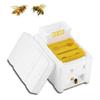 Beekeeping King Box Beekeeping Pollination Box Foam Frames Beekeeping Equipment Kit Harvest Bee Hive Box For Garden