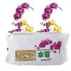 12L Sphagnum Moss Moisturizing Fertilizer For Phalaenopsis Orchid