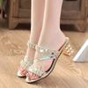 2024 Summer Women Shoes High Heels Sandals Peep Toe Ladies Shoes Brand Modern Black Silver Gold Square Heels 7cm Big Size 41