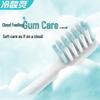 LengSuanLing Anti-Sensitive Gum Care Toothpaste & Brush Set