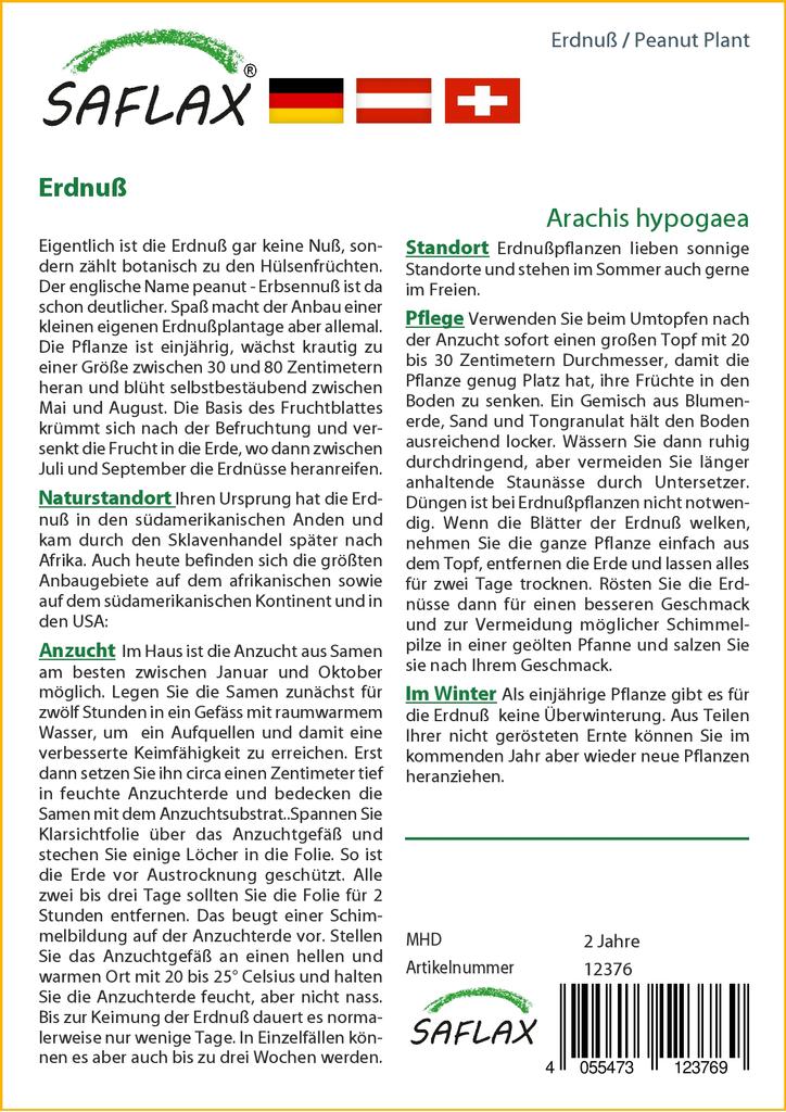 SAFLAX Арахисовое растение - 8 семян - Arachis hypogaea