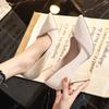 High Heels Women with New Spring and Autumn Pointy Women's Shoes Dress Wedding Shoes Temperament Banquet Single Shoes