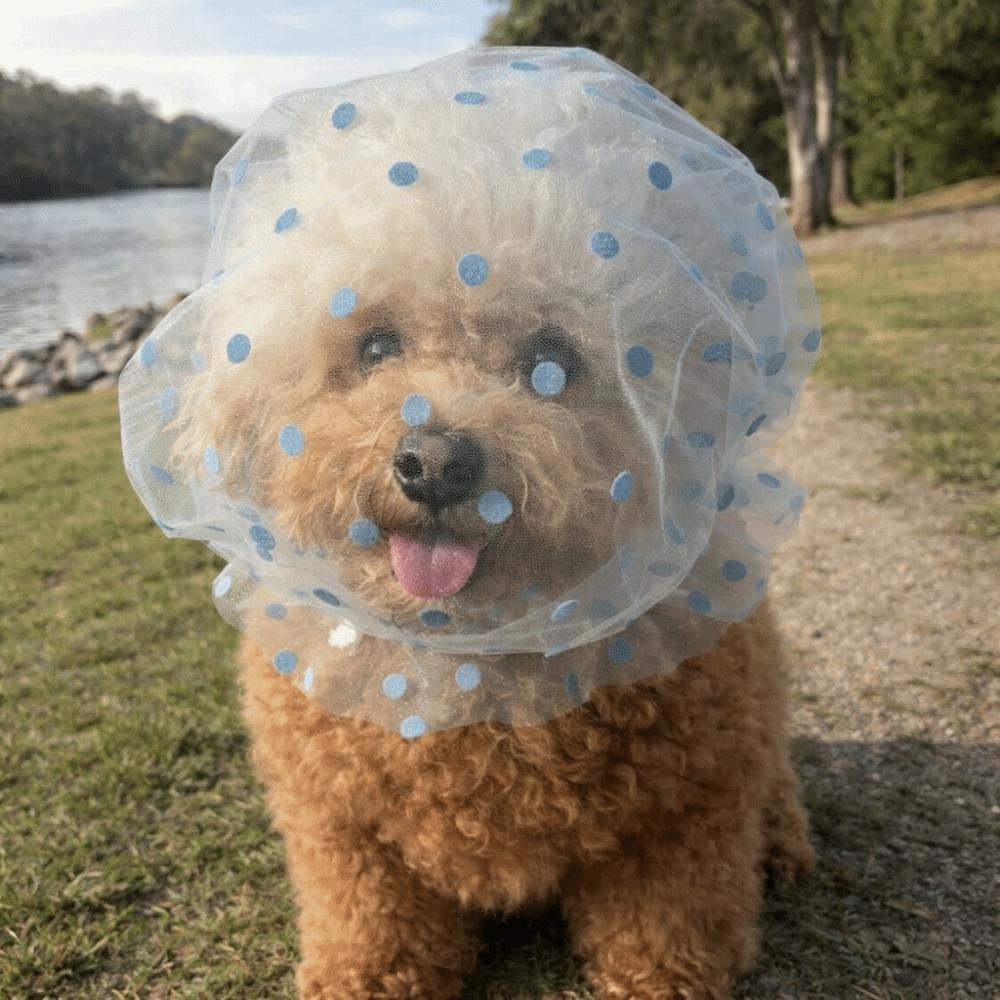 Mesh Pet Anti-Mosquito Headgear Breathable Love/Wave Point Pattern Dog Decorative Headgear Adjustable Dog Face Mask
