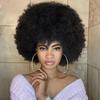 African Black Small Fluffy Pure Color Wigs for Women