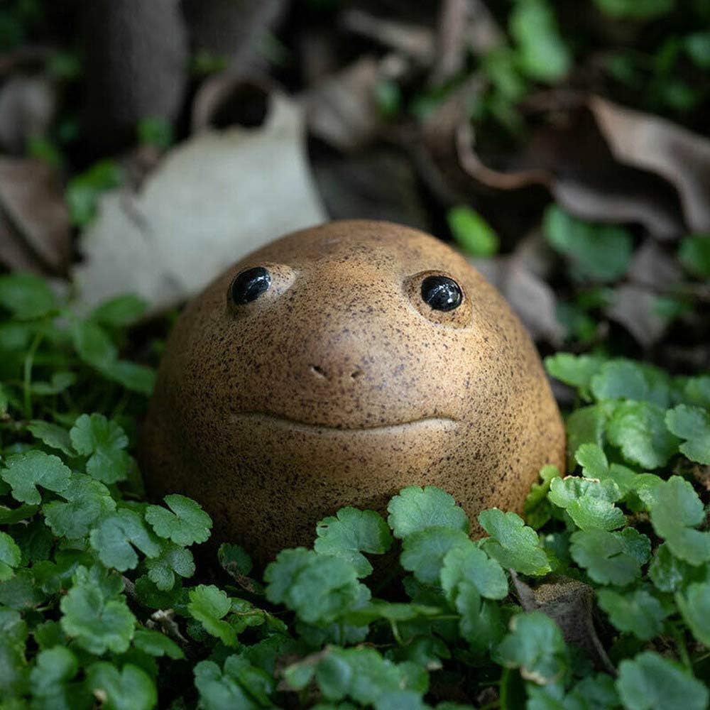 Chinese Crude Pottery Lucky Frog Tea Pet Zen Tea Set Jin Chan Porcelain Handmade Home Decor