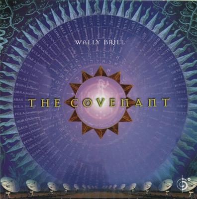 CD WALLY BRILL The Covenant 3145244222 Six Degrees Rec 1997 США Электронный Инструмент Б/У