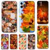 Autumn Leaves Fall Splendid Phone Case for Iphone 5s 2020se 6 6s 7 8 Plus X 10 XR XS 11 12 13 Mini Pro MAX Black Tpu Back Cover