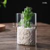 Transparent Glass Hydroponic Vase Modern Small Cylinder Flower Centerpiece Vases Use for Floral Wedding Home Decoration