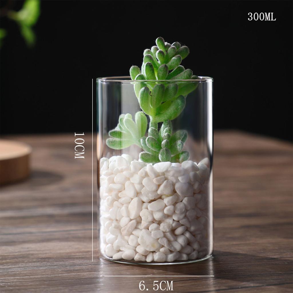 Transparent Glass Hydroponic Vase Modern Small Cylinder Flower Centerpiece Vases Use for Floral Wedding Home Decoration