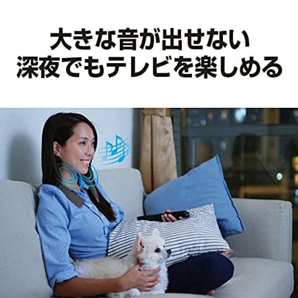 Panasonic Wireless Neck Speaker Neck Speaker with Bluetooth Microphone, Hands-free, Approximately 13 Hours of Continuous Playback SC-WN10-K Black