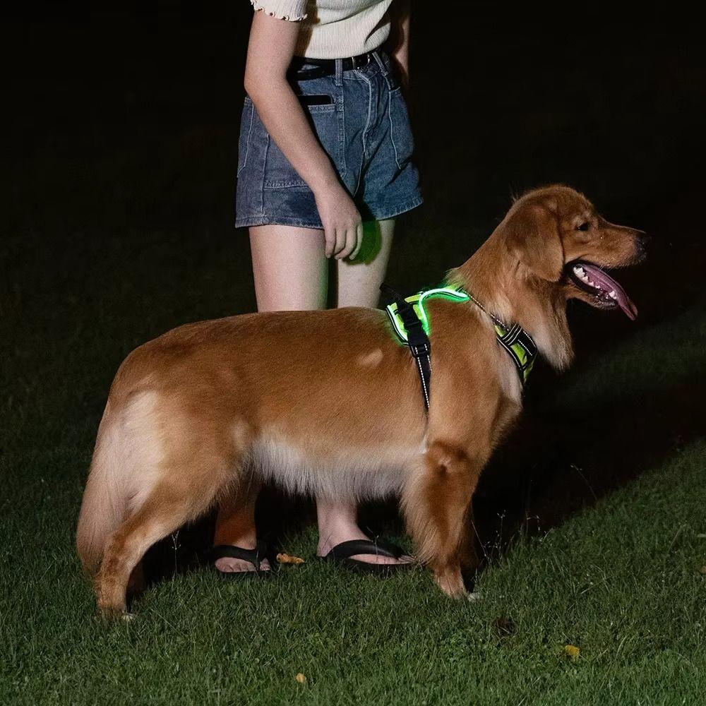 Light Up LED Dog Harness Adjustable Dog Glow Vest Practical Luminous Pet Chest Strap Cats Pet