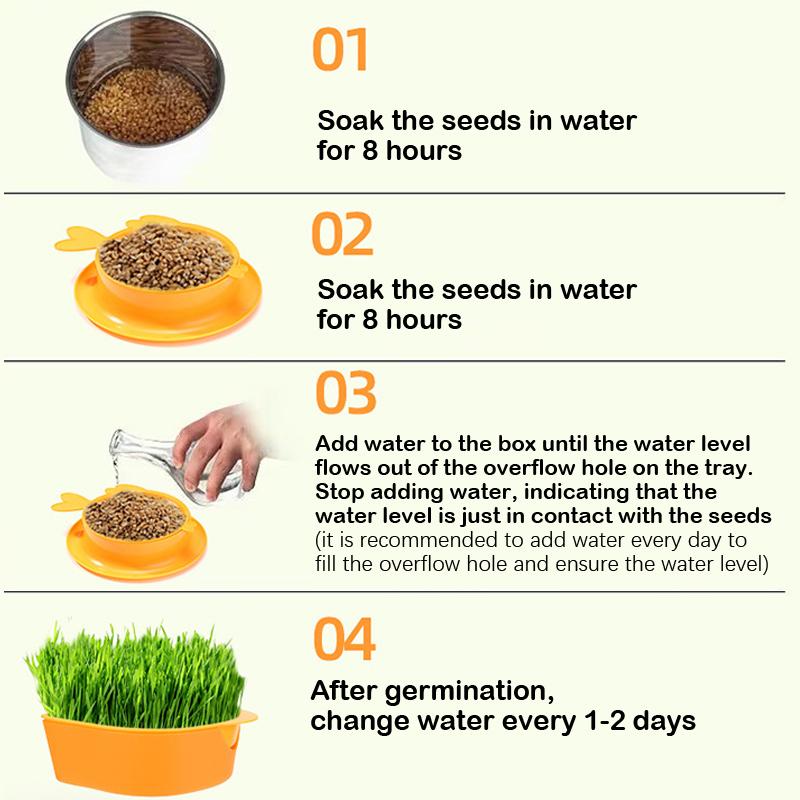 Mint Cat Grass Pot Soilless Hydroponic Lazy Cat Grass Planting Box Catnip Promote Digestion Cat Snacks Planting Container Tools