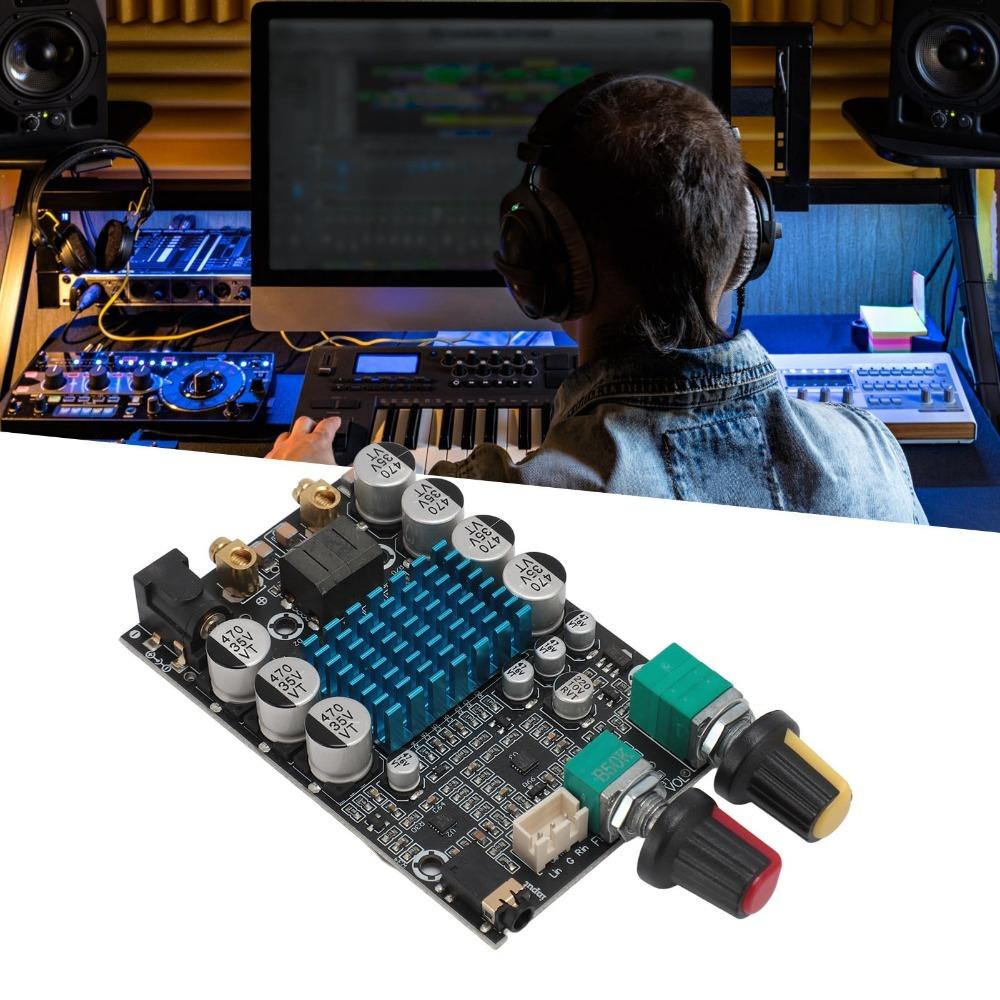 100W TPA3116 Subwoofer Amplifier Board 12-24V High Power Digital Amplifier  for DIY Speaker