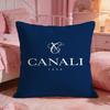 Classic CCanali Cushion Cover Premium Comfort Reversible Pillow Cove Two In One Design For Any Room  Car Interior