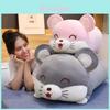 Delightful Plush Pig And Mouse Animal Pillows And Blankets For Snuggly Office Use