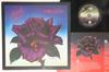 LP Record THIN LIZZY - Black Rose (A Rock Legend) RJ7587 VERTIGO 1979 Japan Rock Used
