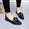 Fashion Shoes for Women 2024 High Quality Slip On Women's Flats Autumn Pointed Toe Solid Concise Chunky Heels Office Profession Loafers
