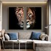Male Lion And Lioness Canvas Paintings On The Wall Art Modern Decorative Posters And Prints Canvas Art Animal Pictures for Room