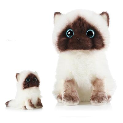 Эта плюшевая игрушка кошка породы рэгдолл станет отличным подарком. Его мягкая текстура делает его крутым и стильным подарком.. Это милая, реалистичная плюшевая игрушка, которая выглядит точно