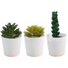 Настольный набор суккулентов Имитация растения Декор для дома офиса